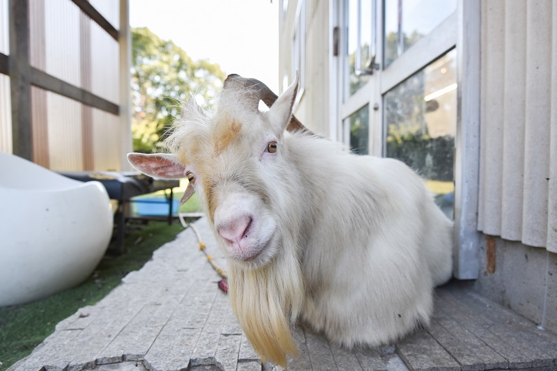 Photo フォトギャラリー